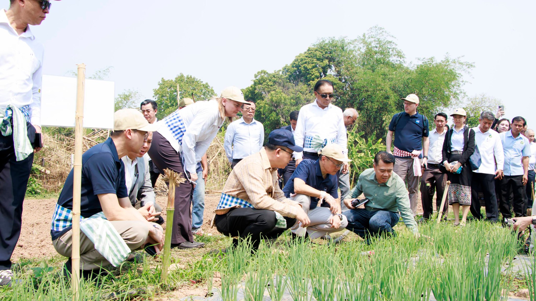 ປະທານ ທະນາຄານພັດທະນາອາຊີ ຢ້ຽມຢາມກຸ່ມຜະລິດພືດຜັກເປັນສິນຄ້າ ທີ່ ດອນຊີງຊູ້